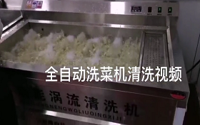 多功能果蔬清洗机